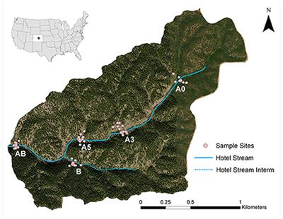 Examining spatial variation in soil solutes and flowpaths in a semi-arid, montane catchment